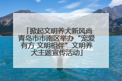 掀起文明养犬新风尚 青岛市市南区举办“宠爱有方 文明相伴”文明养犬主题宣传活动