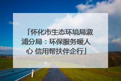 怀化市生态环境局溆浦分局：环保服务暖人心 信用帮扶伴企行