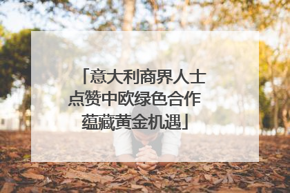 意大利商界人士点赞中欧绿色合作蕴藏黄金机遇