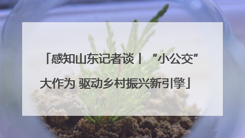感知山东记者谈丨“小公交”大作为 驱动乡村振兴新引擎