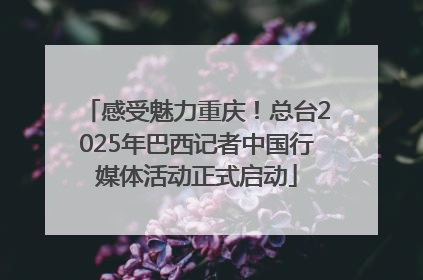 感受魅力重庆！总台2025年巴西记者中国行媒体活动正式启动