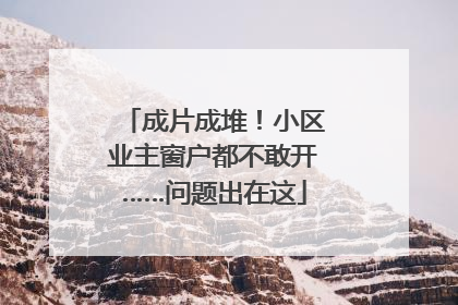 成片成堆！小区业主窗户都不敢开……问题出在这