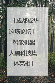 成都成华这场论坛上 智能机器人黑科技集体亮相