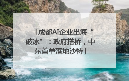 成都AI企业出海“破冰”：政府搭桥，中东首单落地沙特