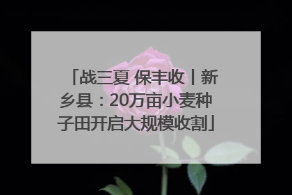 战三夏 保丰收丨新乡县：20万亩小麦种子田开启大规模收割
