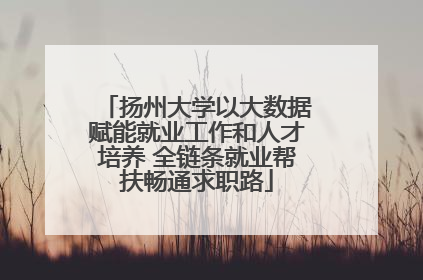 扬州大学以大数据赋能就业工作和人才培养 全链条就业帮扶畅通求职路
