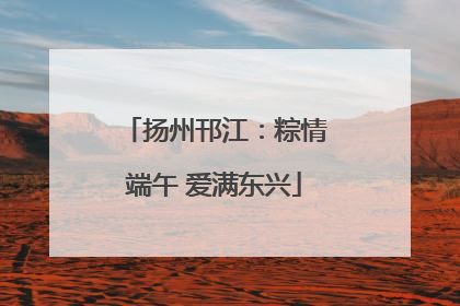 扬州邗江：粽情端午 爱满东兴