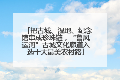 把古城、湿地、纪念馆串成珍珠链，“鲁风运河”古城文化廊道入选十大最美农村路