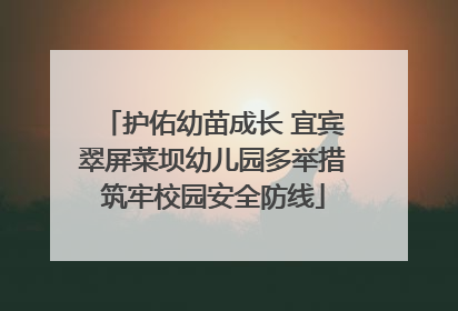 护佑幼苗成长 宜宾翠屏菜坝幼儿园多举措筑牢校园安全防线