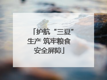 护航“三夏”生产 筑牢粮食安全屏障