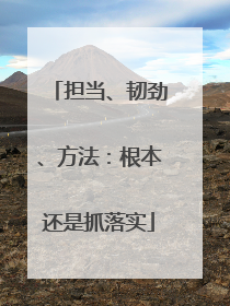 担当、韧劲、方法：根本还是抓落实