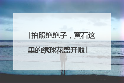 拍照绝绝子，黄石这里的绣球花盛开啦
