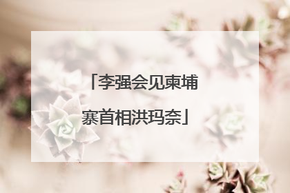 李强会见柬埔寨首相洪玛奈