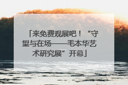 来免费观展吧！“守望与在场——毛本华艺术研究展”开幕