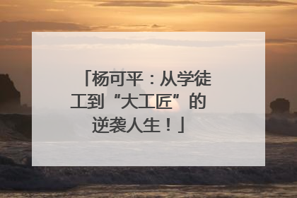 杨可平：从学徒工到“大工匠”的逆袭人生！