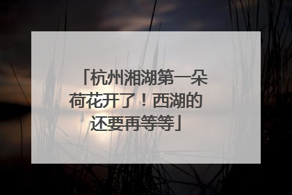 杭州湘湖第一朵荷花开了！西湖的还要再等等