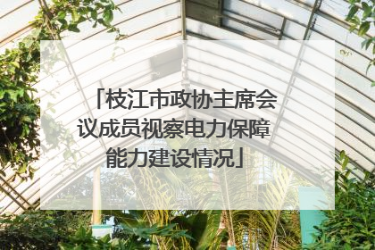 枝江市政协主席会议成员视察电力保障能力建设情况