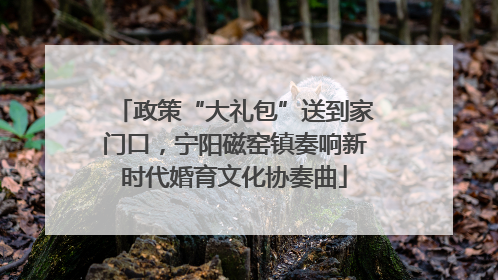 政策“大礼包”送到家门口，宁阳磁窑镇奏响新时代婚育文化协奏曲