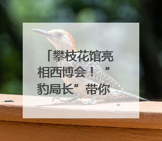 攀枝花馆亮相西博会！“豹局长”带你体验“暖暖花城”独特魅力｜西博视界