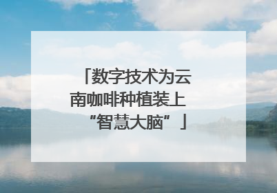 数字技术为云南咖啡种植装上“智慧大脑”