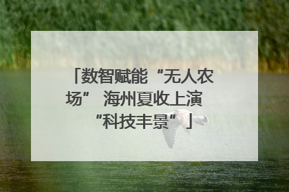 数智赋能“无人农场” 海州夏收上演“科技丰景”