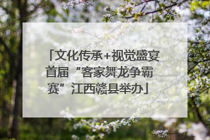 文化传承+视觉盛宴 首届“客家舞龙争霸赛”江西赣县举办