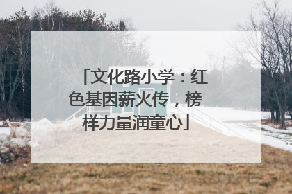 文化路小学：红色基因薪火传，榜样力量润童心