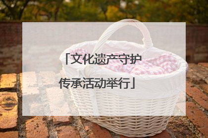 文化遗产守护传承活动举行