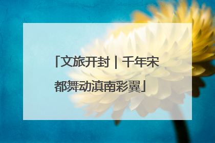 文旅开封｜千年宋都舞动滇南彩翼