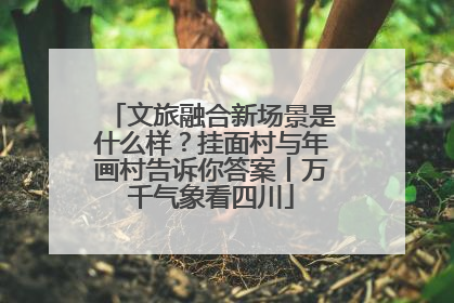 文旅融合新场景是什么样？挂面村与年画村告诉你答案丨万千气象看四川