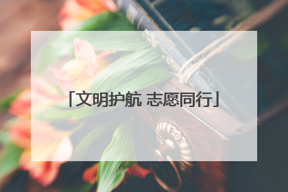 文明护航 志愿同行