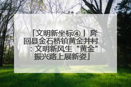 文明新坐标④丨 隆回县金石桥镇黄金井村：文明新风生“黄金” 振兴路上展新姿