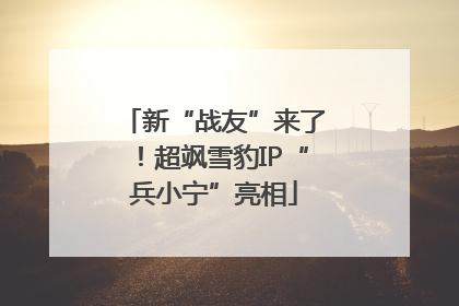 新“战友”来了！超飒雪豹IP“兵小宁”亮相