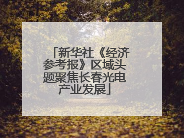 新华社《经济参考报》区域头题聚焦长春光电产业发展