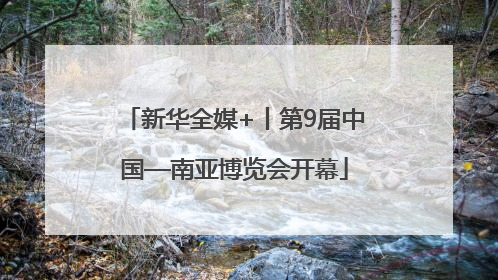 新华全媒+丨第9届中国—南亚博览会开幕