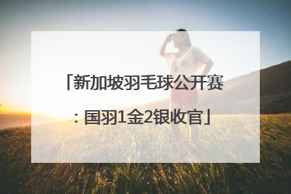 新加坡羽毛球公开赛：国羽1金2银收官