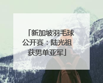 新加坡羽毛球公开赛：陆光祖获男单亚军