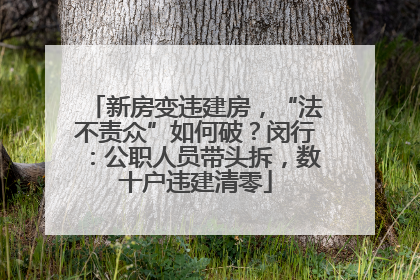 新房变违建房，“法不责众”如何破？闵行：公职人员带头拆，数十户违建清零