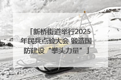 新桥街道举行2025年民兵点验大会 锻造国防建设“拳头力量”