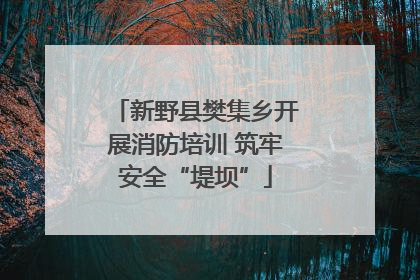 新野县樊集乡开展消防培训 筑牢安全“堤坝”