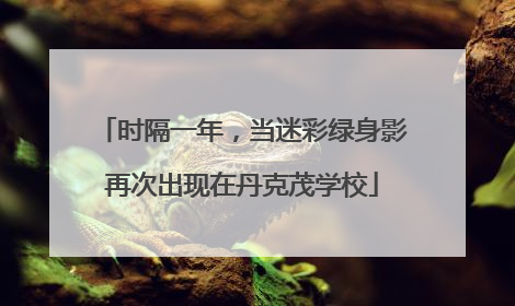时隔一年，当迷彩绿身影再次出现在丹克茂学校