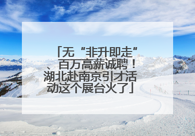 无“非升即走”、百万高薪诚聘！湖北赴南京引才活动这个展台火了