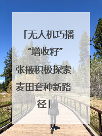 无人机巧播“增收籽” 张掖积极探索麦田套种新路径