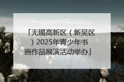 无锡高新区（新吴区）2025年青少年书画作品展演活动举办