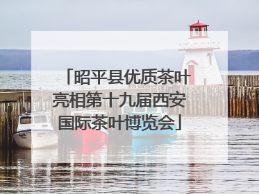 昭平县优质茶叶亮相第十九届西安国际茶叶博览会