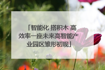 智能化 搭积木 高效率一座未来高智能产业园区雏形初现