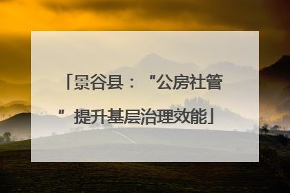 景谷县：“公房社管”提升基层治理效能