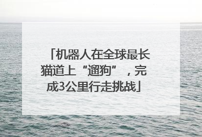 机器人在全球最长猫道上“遛狗”，完成3公里行走挑战