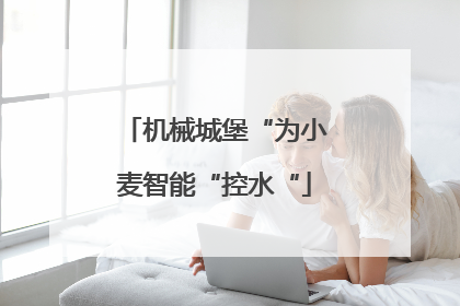 机械城堡“为小麦智能“控水“