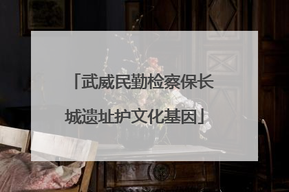 武威民勤检察保长城遗址护文化基因